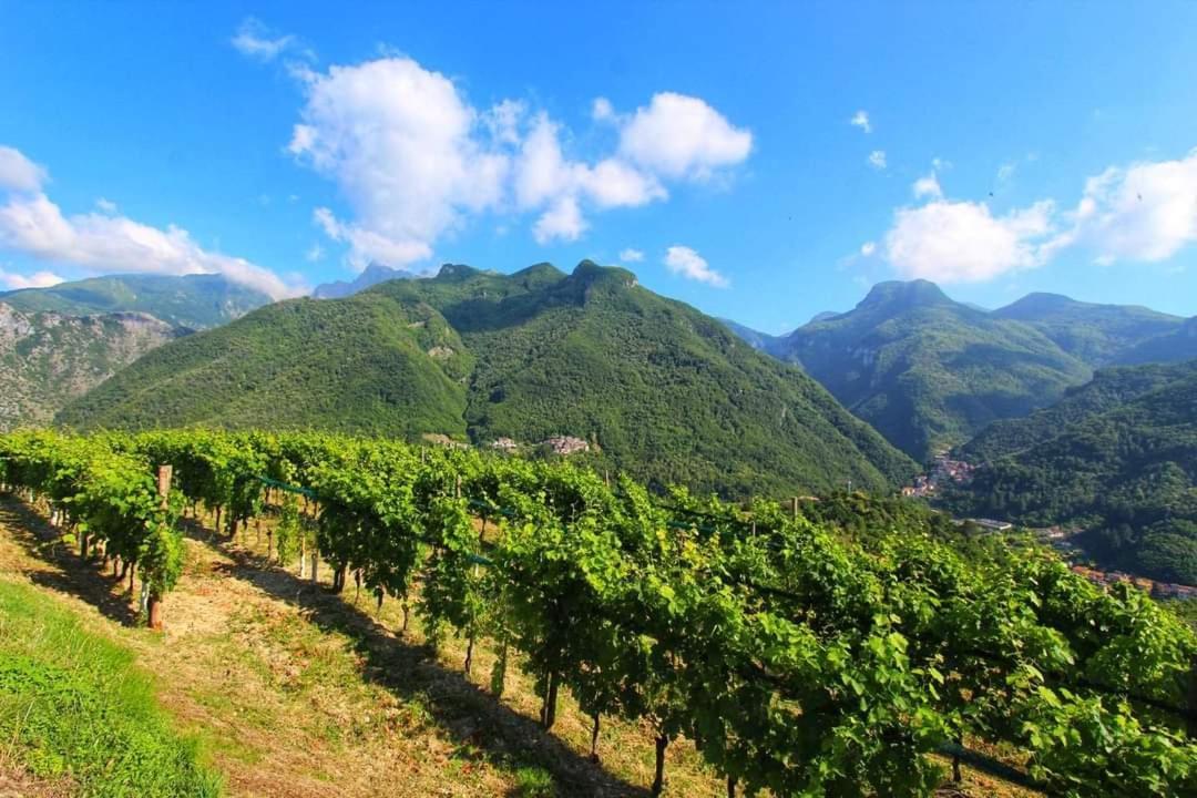 Casa Silvana Equi Terme Екстер'єр фото